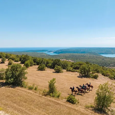 House Marconi Apartman Labin (Istria)